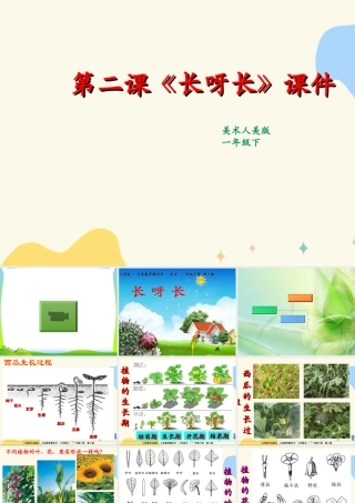 人美版美术一年级下册第二课长呀长课件.ppt