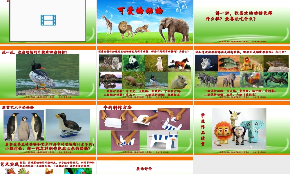 人美版美术一年级下册第十二课《可爱的动物》课件.ppt