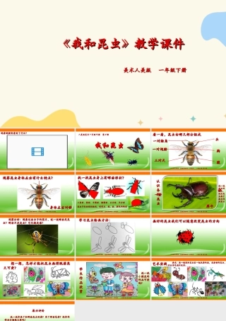 人美版美术一年级下册第十课《我和昆虫》课件.ppt