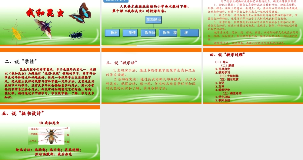 人美版美术一年级下册第十课《我和昆虫》说课稿.ppt