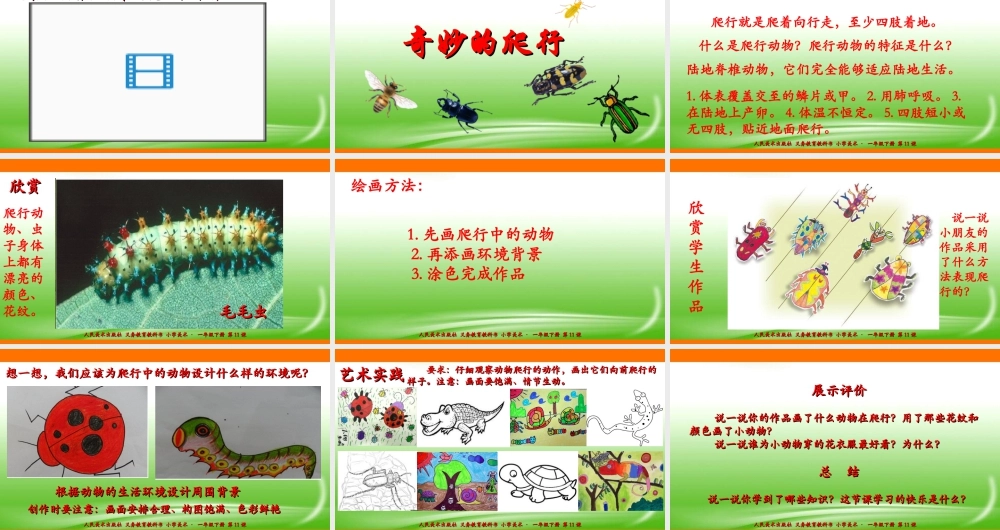 人美版美术一年级下册第十一课《奇妙的爬行》课件.ppt