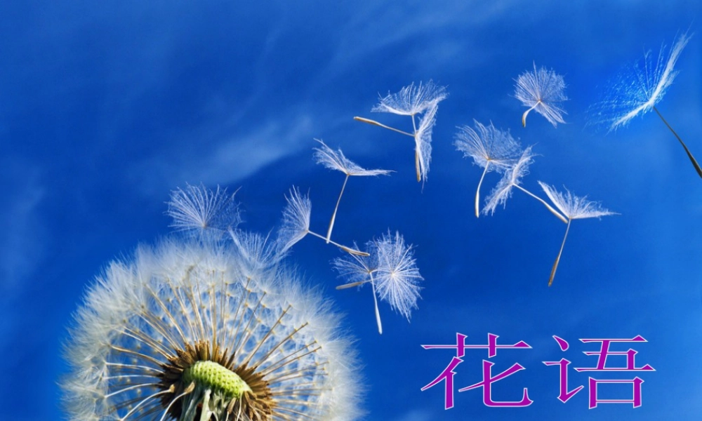 人美版美术一年级下册-花语.ppt