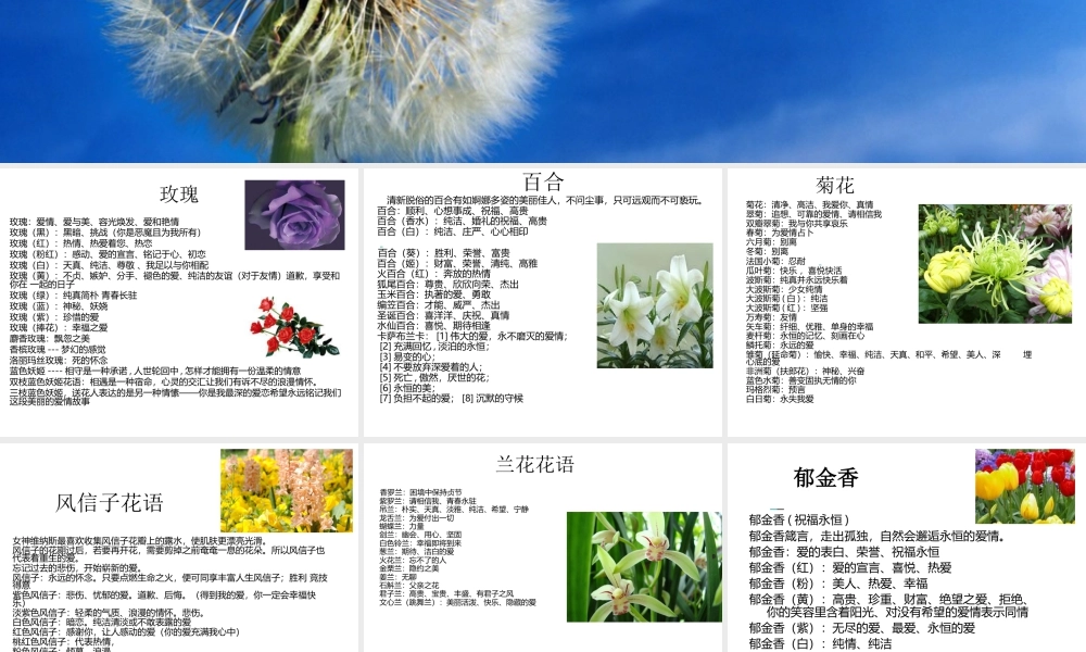 人美版美术一年级下册-花语.ppt