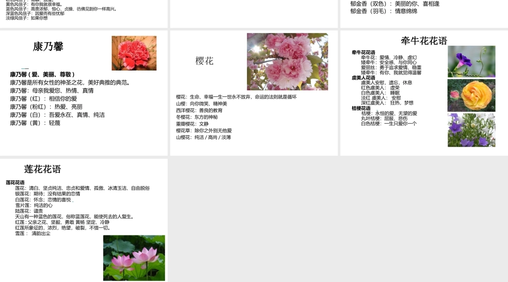 人美版美术一年级下册-花语.ppt