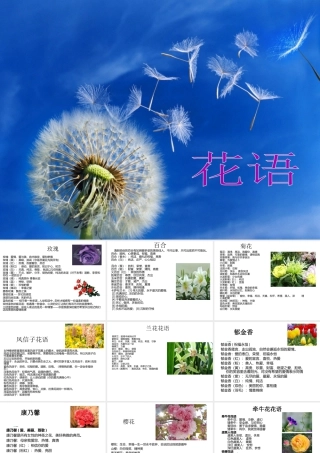 人美版美术一年级下册-花语.ppt