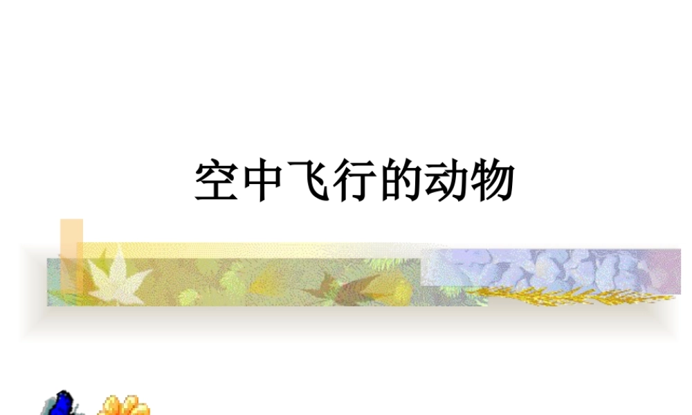 人美版美术一年级下册-空中飞行的动物.ppt