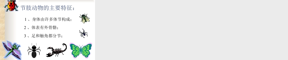 人美版美术一年级下册-空中飞行的动物.ppt