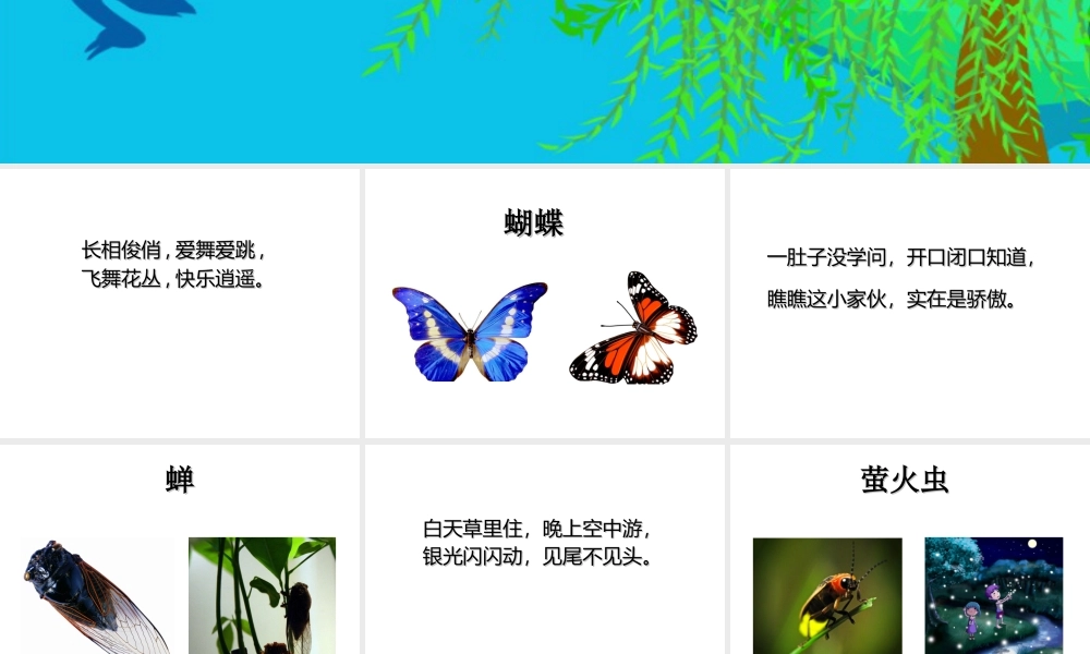 人美版美术一年级下册-昆虫谜语.ppt