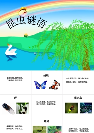 人美版美术一年级下册-昆虫谜语.ppt