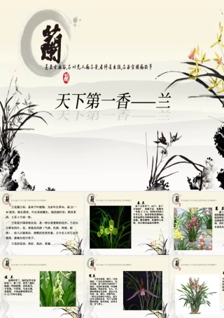 人美版美术一年级下册-兰花.ppt