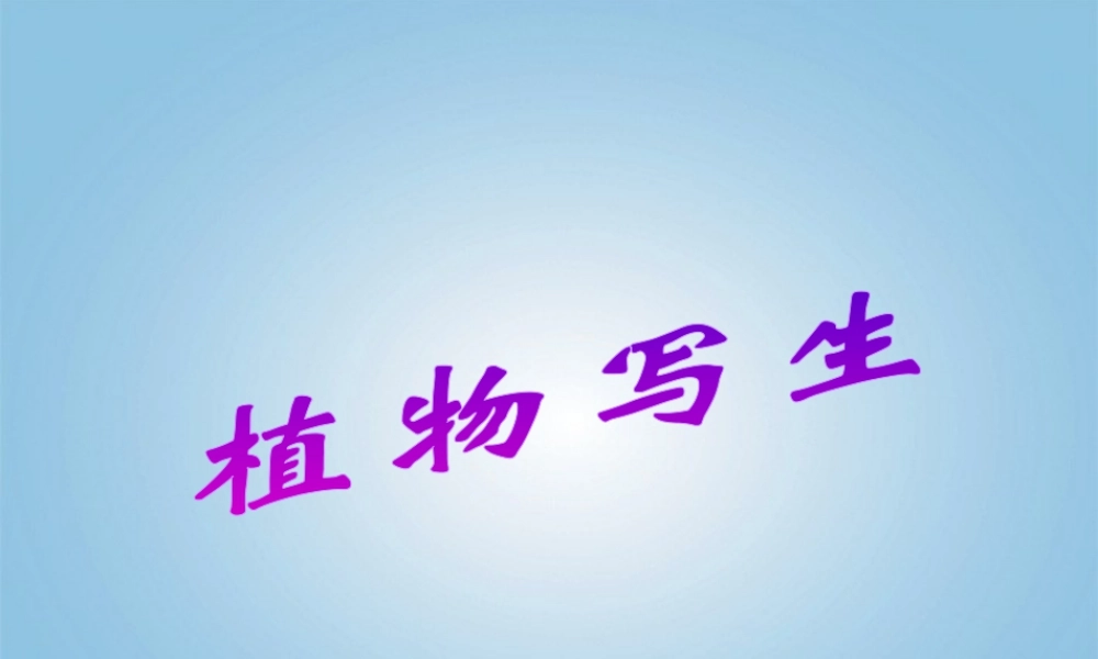 人美版小学美术4年级（下）第1课 植物写生 课件 人美版 (1).ppt