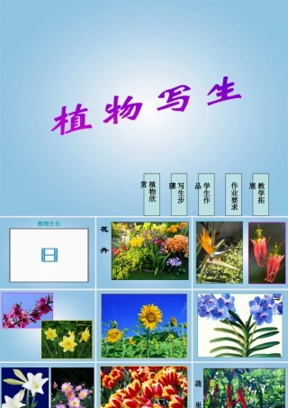人美版小学美术4年级（下）第1课 植物写生 课件 人美版 (1).ppt