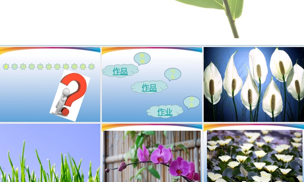 人美版小学美术4年级（下）第1课 植物写生 课件 人美版 (2).ppt