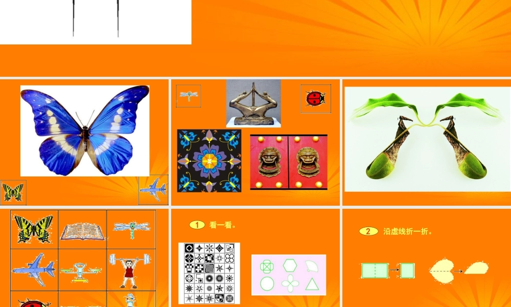 人美版小学美术4年级（下）第6课 巧用对称形 课件 人美版 (3).ppt