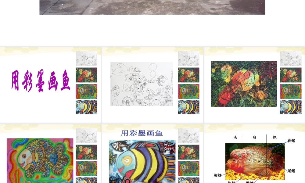 人美版小学美术4年级（下）第9课  用彩墨画鱼 课件 (3).ppt