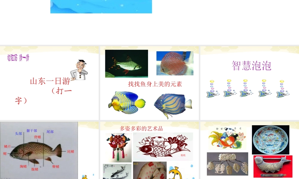 人美版小学美术4年级（下）第9课 用彩墨画鱼 课件 (2).ppt