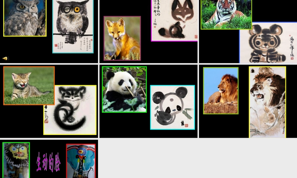 人美版小学美术4年级（下）第10课动物的脸.ppt