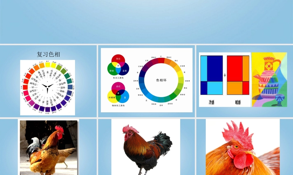 人美版小学美术4年级（下）第14课 艳丽的大公鸡 课件 人美版 (2).ppt