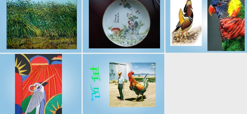 人美版小学美术4年级（下）第14课 艳丽的大公鸡 课件 人美版.ppt