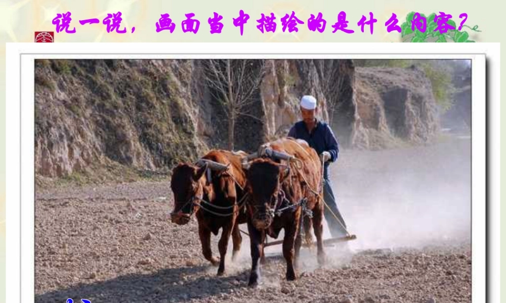 人美版小学美术4年级（下）第15课  学画农民画 课件 人美版 (3).ppt