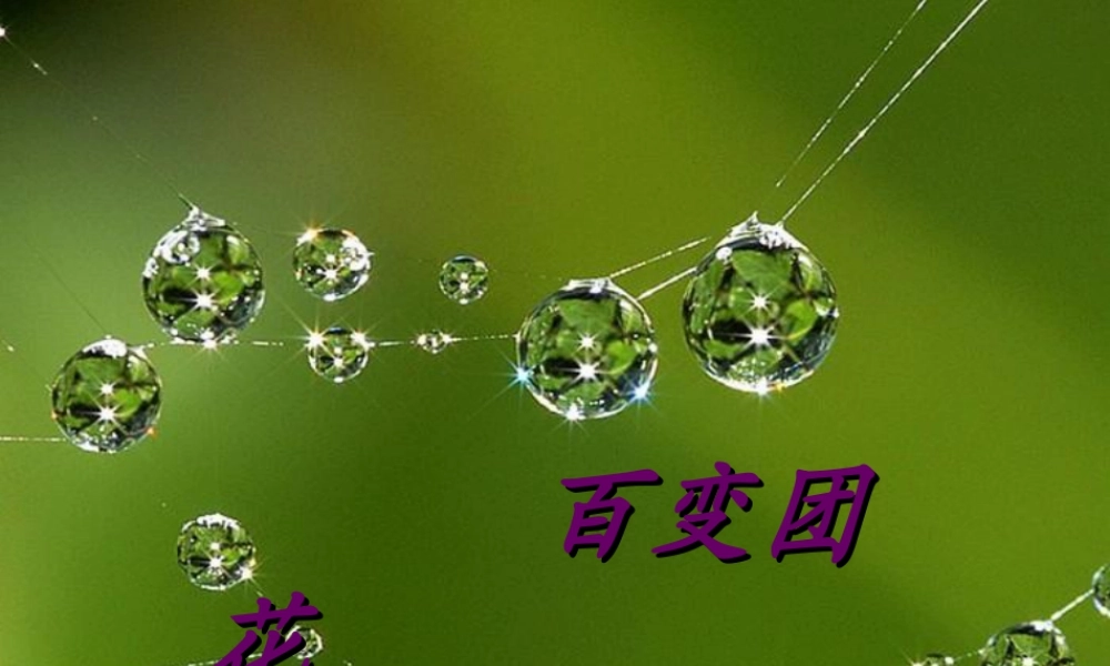 人美版小学美术二年级上册-《百变团花》课件2.ppt