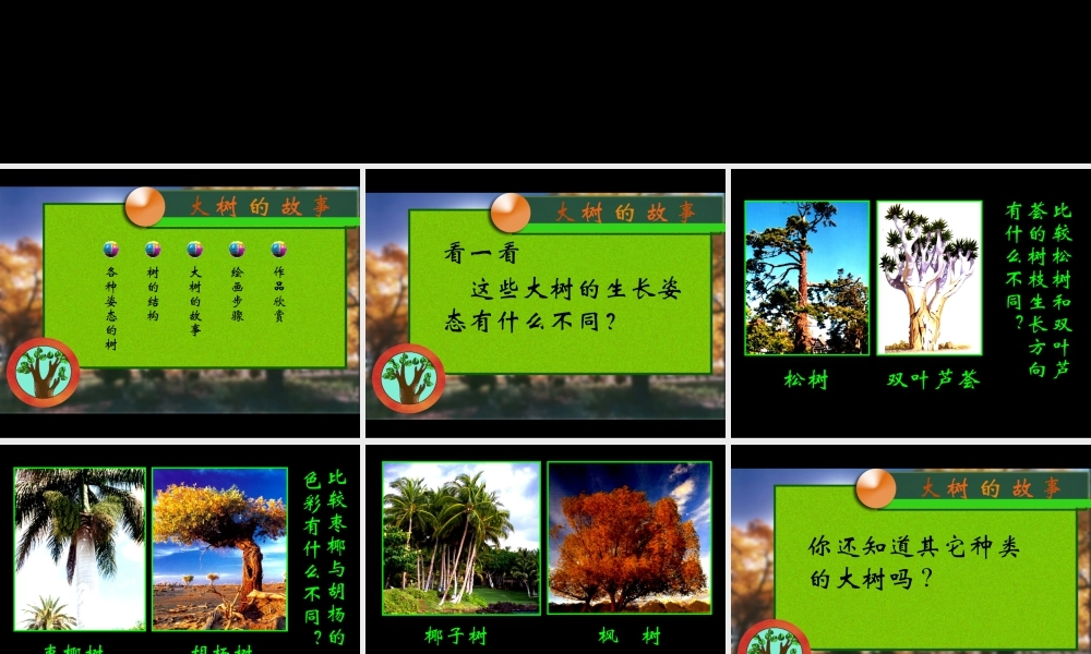 人美版小学美术二年级上册-《大树的故事》课件1.ppt