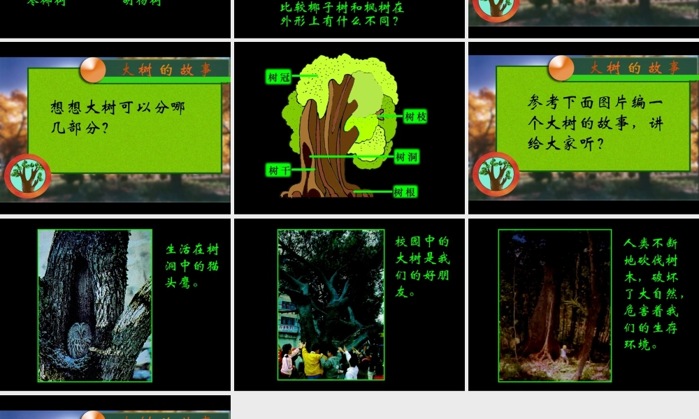 人美版小学美术二年级上册-《大树的故事》课件1.ppt