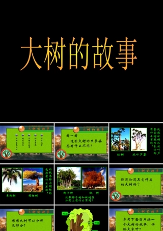 人美版小学美术二年级上册-《大树的故事》课件1.ppt