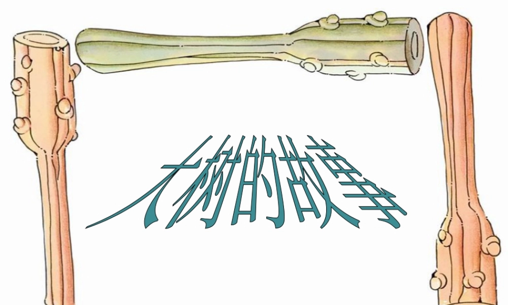 人美版小学美术二年级上册-《大树的故事》课件2.ppt