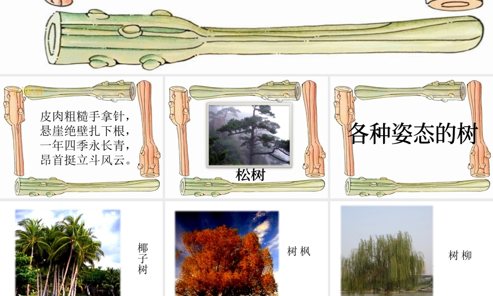 人美版小学美术二年级上册-《大树的故事》课件2.ppt