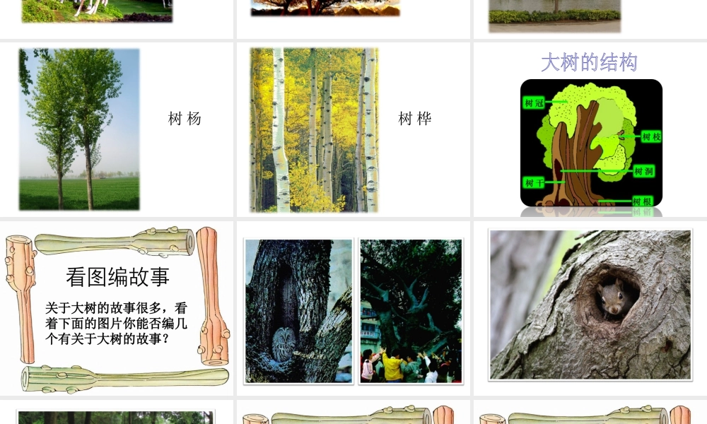 人美版小学美术二年级上册-《大树的故事》课件2.ppt