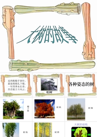 人美版小学美术二年级上册-《大树的故事》课件2.ppt