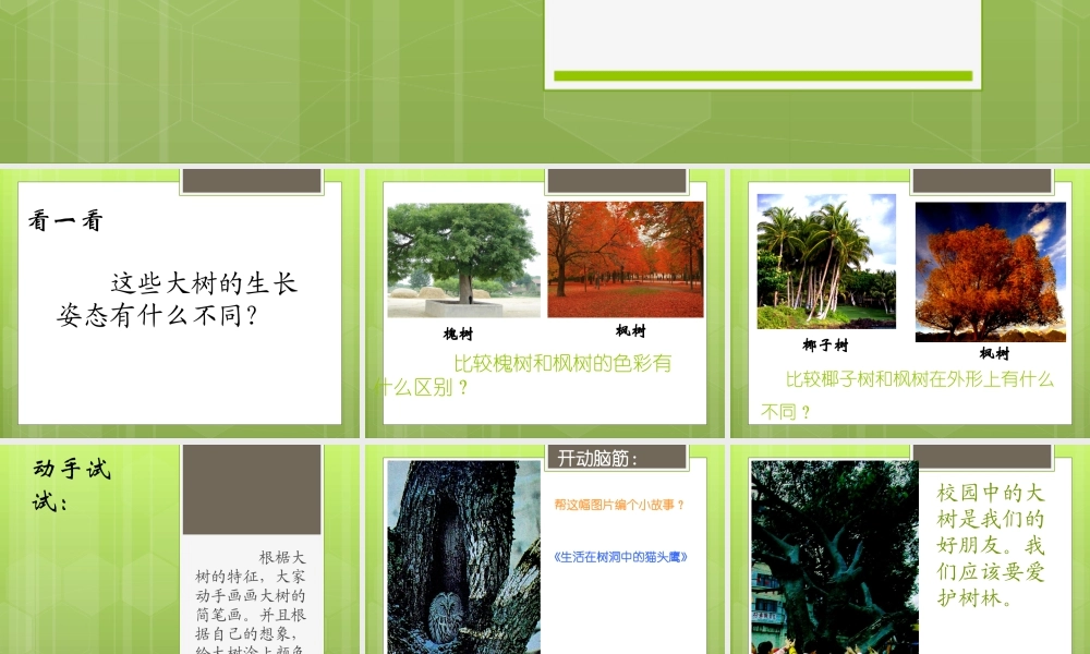 人美版小学美术二年级上册-《大树的故事》课件3.ppt