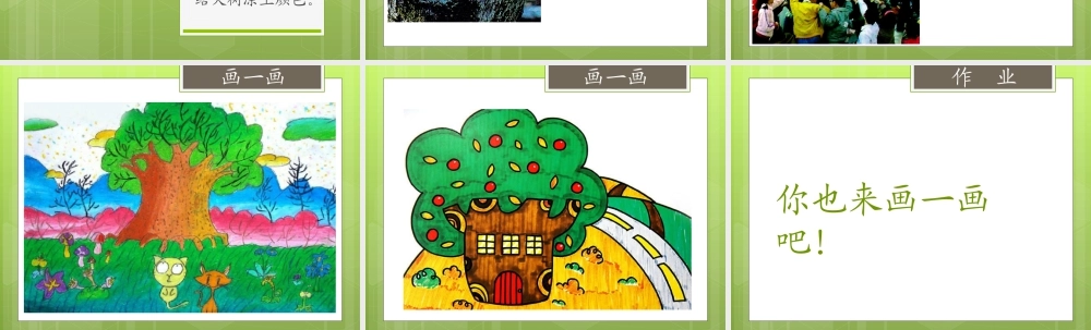 人美版小学美术二年级上册-《大树的故事》课件3.ppt