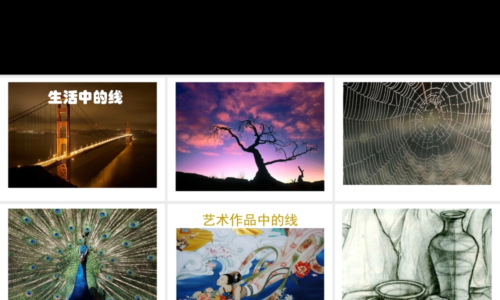 人美版小学美术二年级上册-《会变的线条》课件1.ppt