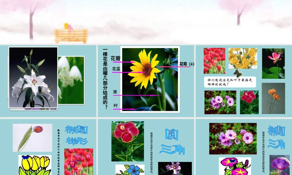 人美版小学美术二年级上册-《茂密的花》课件2.ppt