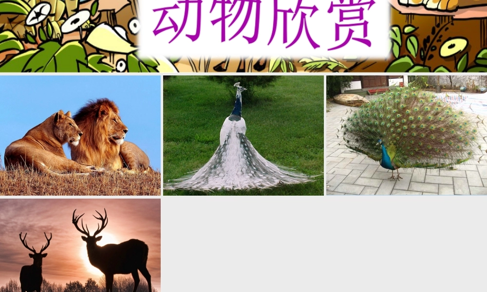 人美版小学美术二年级上册-动物欣赏.ppt