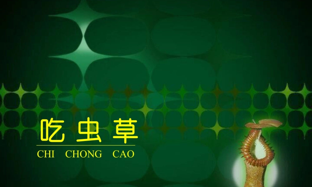 人美版小学美术二年级下册课时课件-《吃虫草》课件1.ppt