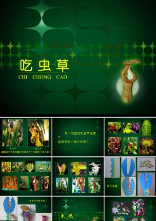 人美版小学美术二年级下册课时课件-《吃虫草》课件1.ppt