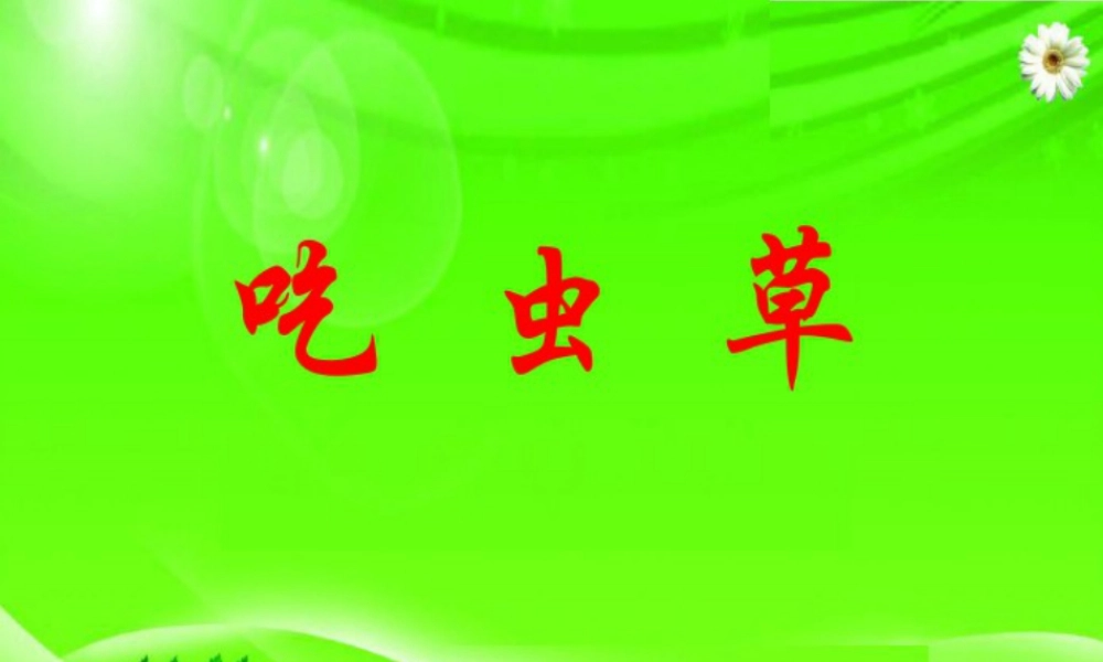 人美版小学美术二年级下册课时课件-《吃虫草》课件2.ppt