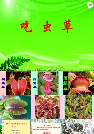 人美版小学美术二年级下册课时课件-《吃虫草》课件2.ppt