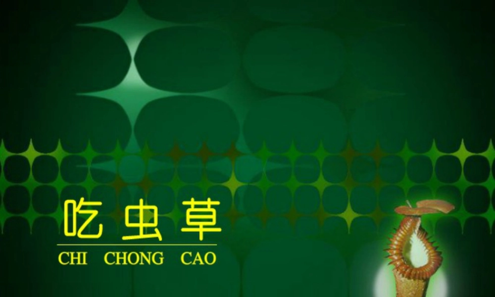 人美版小学美术二年级下册课时课件-《吃虫草》课件3.ppt