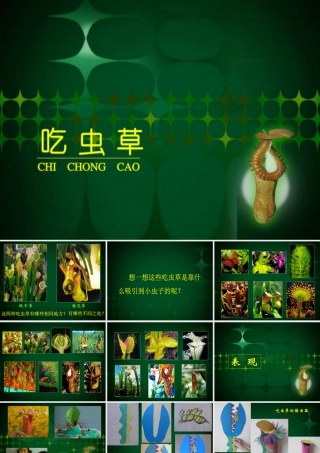 人美版小学美术二年级下册课时课件-《吃虫草》课件3.ppt