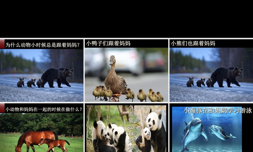 人美版小学美术二年级下册课时课件-《和妈妈在一起》课件1.ppt