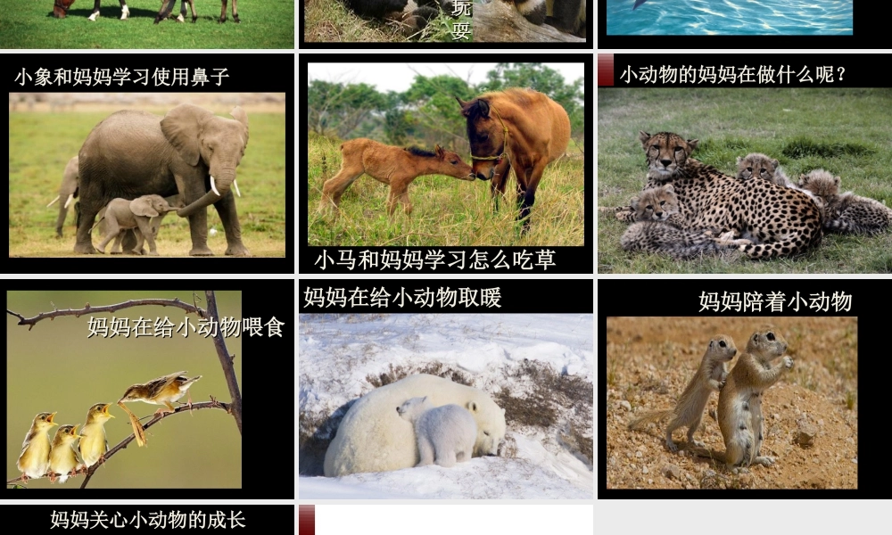 人美版小学美术二年级下册课时课件-《和妈妈在一起》课件1.ppt