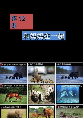 人美版小学美术二年级下册课时课件-《和妈妈在一起》课件1.ppt