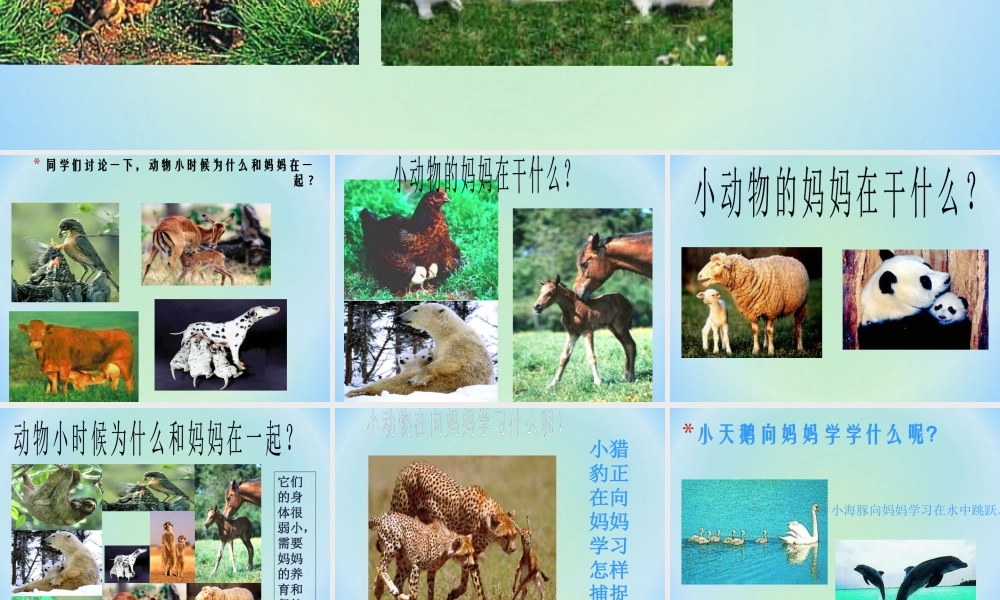 人美版小学美术二年级下册课时课件-《和妈妈在一起》课件3.ppt