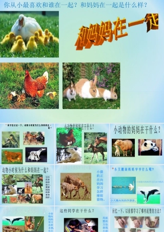 人美版小学美术二年级下册课时课件-《和妈妈在一起》课件3.ppt