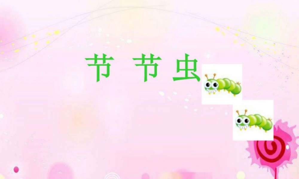 人美版小学美术二年级下册课时课件-《节节虫》课件1.ppt