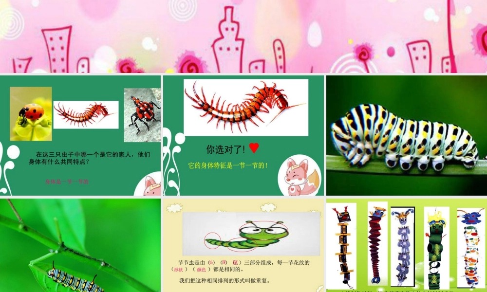 人美版小学美术二年级下册课时课件-《节节虫》课件1.ppt